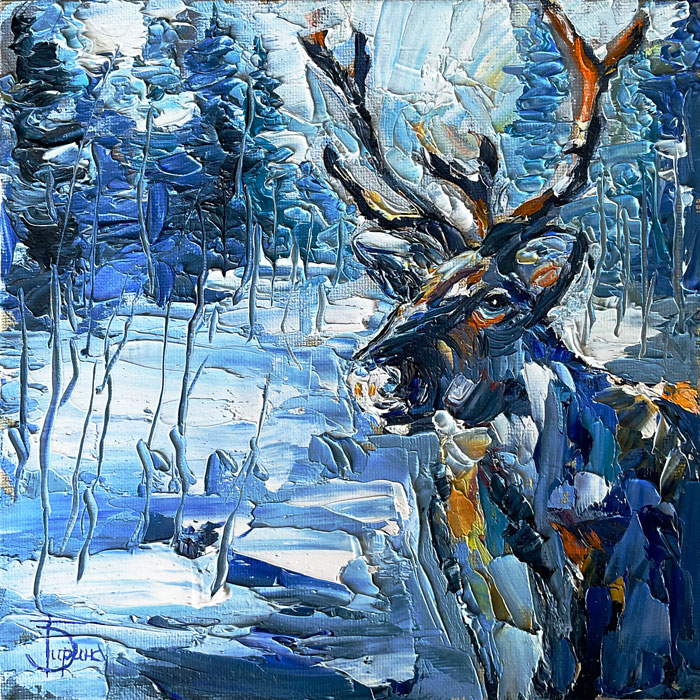 Северные истории